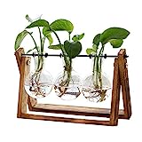 XXXFLOWER Plant Terrarium with Wooden Stand, Air Planter Bulb Glass Vase Metal Swivel Holder Retro Tabletop for Hydroponics Home Garden Office Decoration - 3 Bulb Vase